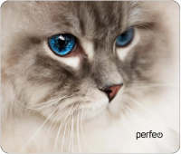    Perfeo Cat  16 (240*200*2), +  (PF_D0657)