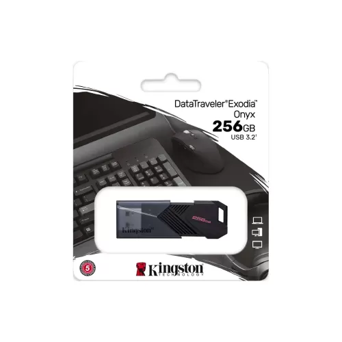 - 256GB Kingston DataTraveler DTXON 256GB  USB 3.2