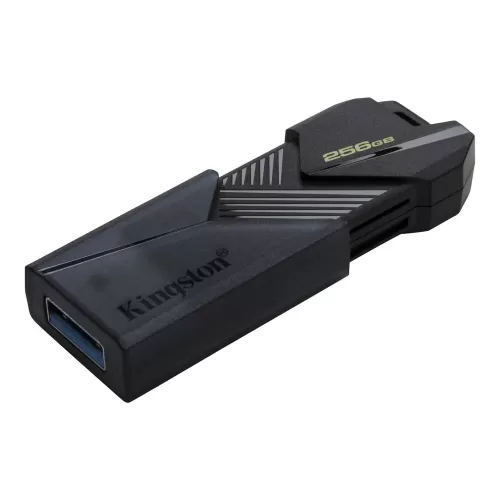 - 256GB Kingston DataTraveler DTXON 256GB  USB 3.2